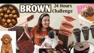 'I Used Only BROWN Things For 24 Hours | Most Requested Challenge | Garima\'s Good Life'