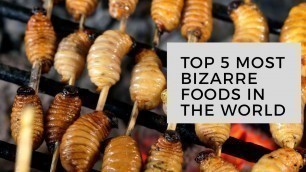 'Top 5 Bizzare Foods In the World'