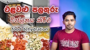 'Food Dehydration process | fruit and vegetable dehydration | Food Science and Technology |Tech Food'
