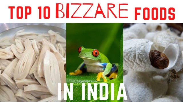 'Top 10 Bizzare Foods Eaten In India / Dikshita Bhoi/ Top10xo/'
