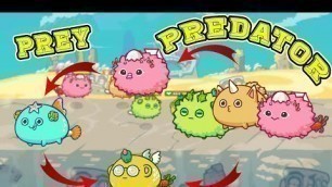 'FOOD CHAIN TEAM | BBP vs BAP | AXIE INFINITY | BBP GAMEPLAY'