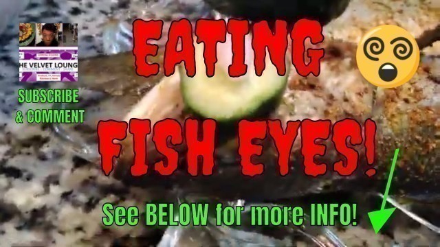'Fish Eyes What Bizzare Foods I Ate Today'