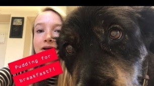'My Dog Picks My Food For 24 Hours || Anorexia Recovery Challenge'