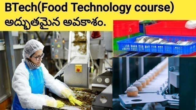 'Complete Details on B.TECH Food Technology Don\'t Miss It.....'