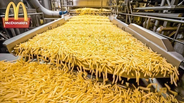 'Here\'s How McDonald\'s French Fries Are Made. Food Production Processes'