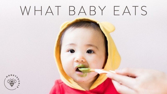 'What BABY EATS in a Day (Homemade Baby Food) 