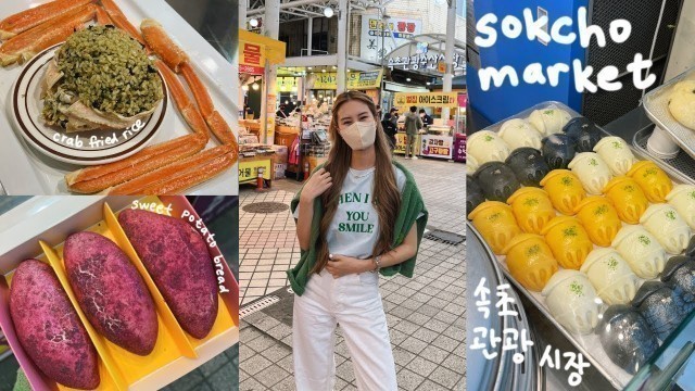 'sokcho market korean street food 