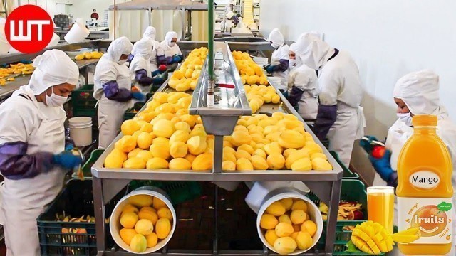'How Mango Juice Is Made In Factory | Modern Fruit Juice Making Technology | Food Factory'