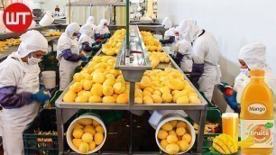 'How Mango Juice Is Made In Factory | Modern Fruit Juice Making Technology | Food Factory'
