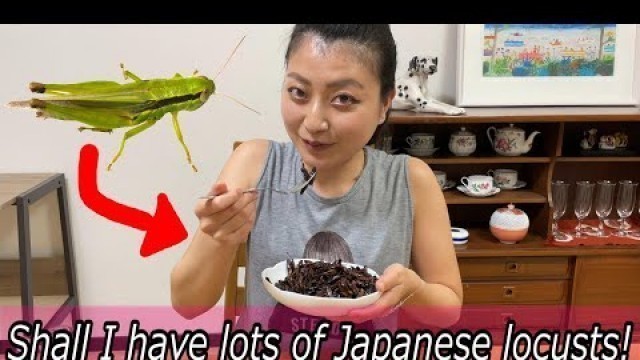 '#1 Shall I have lots of Japanese locusts?【mogumogutomoko】【Japanese food】【bizzare food】'