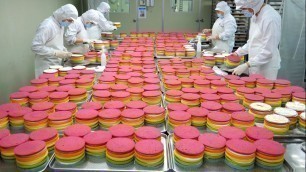 '카카오톡 선물로 대박난 레인보우 케잌의 압도적인 대량생산 현장 / Amazing! fantastic Rainbow Cake / Korean food factory'