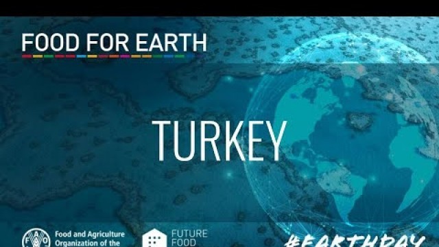 'Turkey - Food For Earth Day 2021'