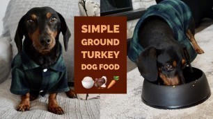 'SIMPLE HOMEMADE GROUND TURKEY DOG FOOD!!! 