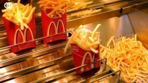 'Comment sont fabriquées les frites McDonald\'s - Food Factory'