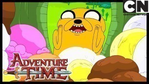 'Adventure Time | The Pods | Cartoon Network'
