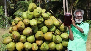 'Coconut SARBATH prepared by daddy arumugam / Village food factory'