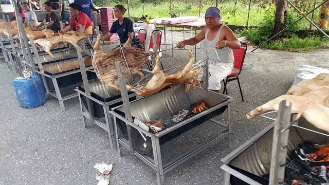 'चीन से कम नहीं है इंडोनेशिया के लोग जो मिला खालिया ! | | Indonesia Meat Food Market'