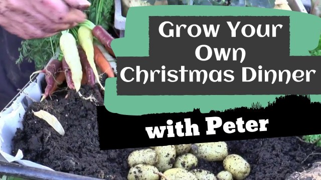 'How to Grow Your Own Christmas Dinner | Garden Ideas | Peter Seabrook'