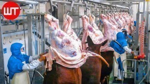 'World Most Modern Beef Processing Technology | Amazing Cow Meat Processing Factory'