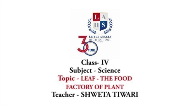 'SCIENCE | LEAF-THE FOOD FACTORY OF PLANT | Class IV'