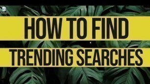 'How to find trending searches'
