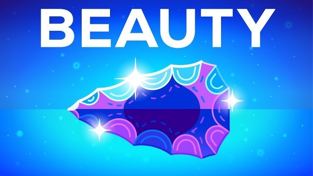 'Why Beautiful Things Make us Happy – Beauty Explained'