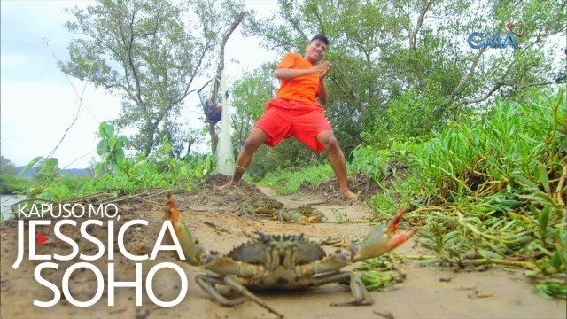'Kapuso Mo, Jessica Soho: The Alimango Dance craze is in!'