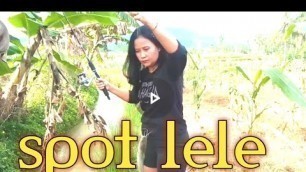 'MANCING CANTIK  AMBYAR YOUTUBE,MANCING CANTIK TERBARU 2022'