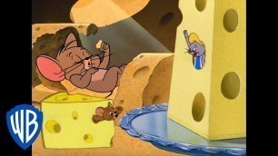 'Tom und Jerry auf Deutsch | Ho Ho Feiertage! | WB Kids'