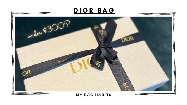 'Dior under $300? | Dior Cosmetic Bag Hack'