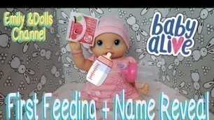 'Baby Alive Whoopsie Doo First Feeding 