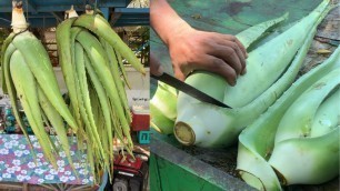 'Famous Aloe vera Shake of Chennai | Chennai Street Food | Street Food'
