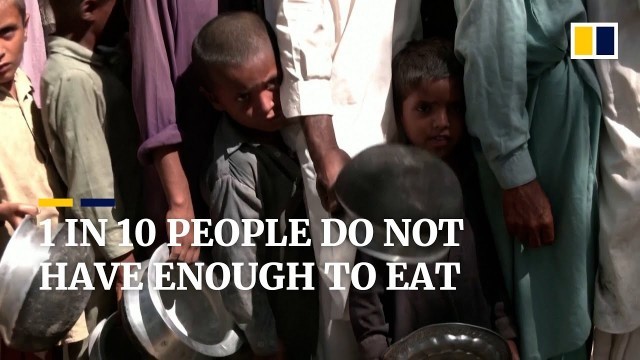 'World Food Day: Why over 800 million people go hungry each day despite adequate global supply'