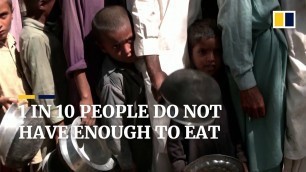 'World Food Day: Why over 800 million people go hungry each day despite adequate global supply'