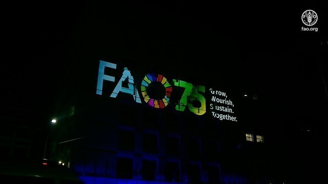 'FAO 75th anniversary video mapping show/World Food Day 2020'