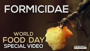 'Formicidae | World Food Day | Special Video | Raneesh Raj | Nighil C.M | Najose'