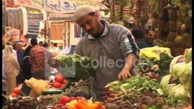 'EGYPT FOOD COSTS TZ'