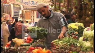 'EGYPT FOOD COSTS TZ'