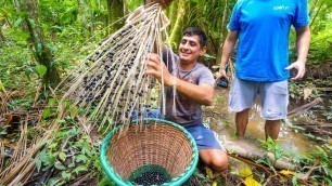 'Unseen SUPERFOOD in Amazon Jungle - Real Way to Eat AÇAÍ (You’ll Be Surprised) in Belém, Brazil!'