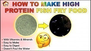 'How to Make Fish Food: Fry Fish Food!'