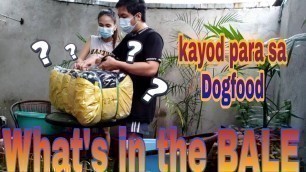 'WHAT\'S IN THE BALE | SMALL BUSINESS | DISKARTE PARA MAKABILI NG DOG FOOD'