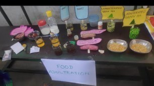 'Science project for food adulteration| District Level First&Best Science  Project  model'