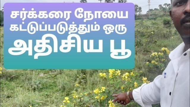 'Rs.0 | An amazing flower that control diabetes | Tamil'