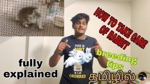 'rabbit care tips in tamil | how to feed rabbit in tamil | rabbit daily routine | views of vj'