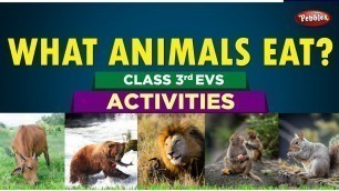 'WHAT ANIMALS EAT ACTIVITY-1 |  | Class 3 EVS | 3rd SCIENCE VIDEOS IN TELUGU | తెలుగులో'