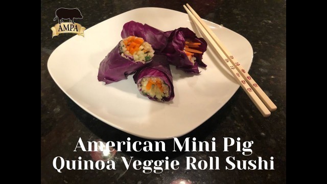 'American Mini Pig Sushi Recipe 2'