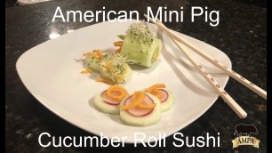 'American Mini Pig Sushi'