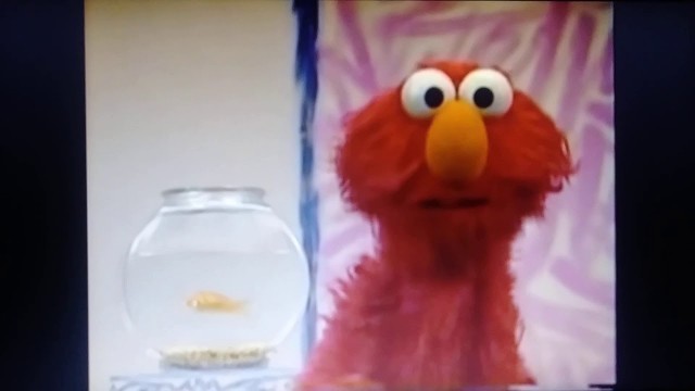 'Elmo\'s World: Food, Water & Exercise but Door is on the screen'