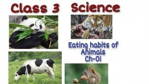 'Class 3, Science, CBSE board, Eating habits of animals Ch-01 explain in Hindi with fun