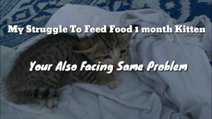 'Feeding Food One Month Kitten & CAT | Tamil | Vinothjustice'